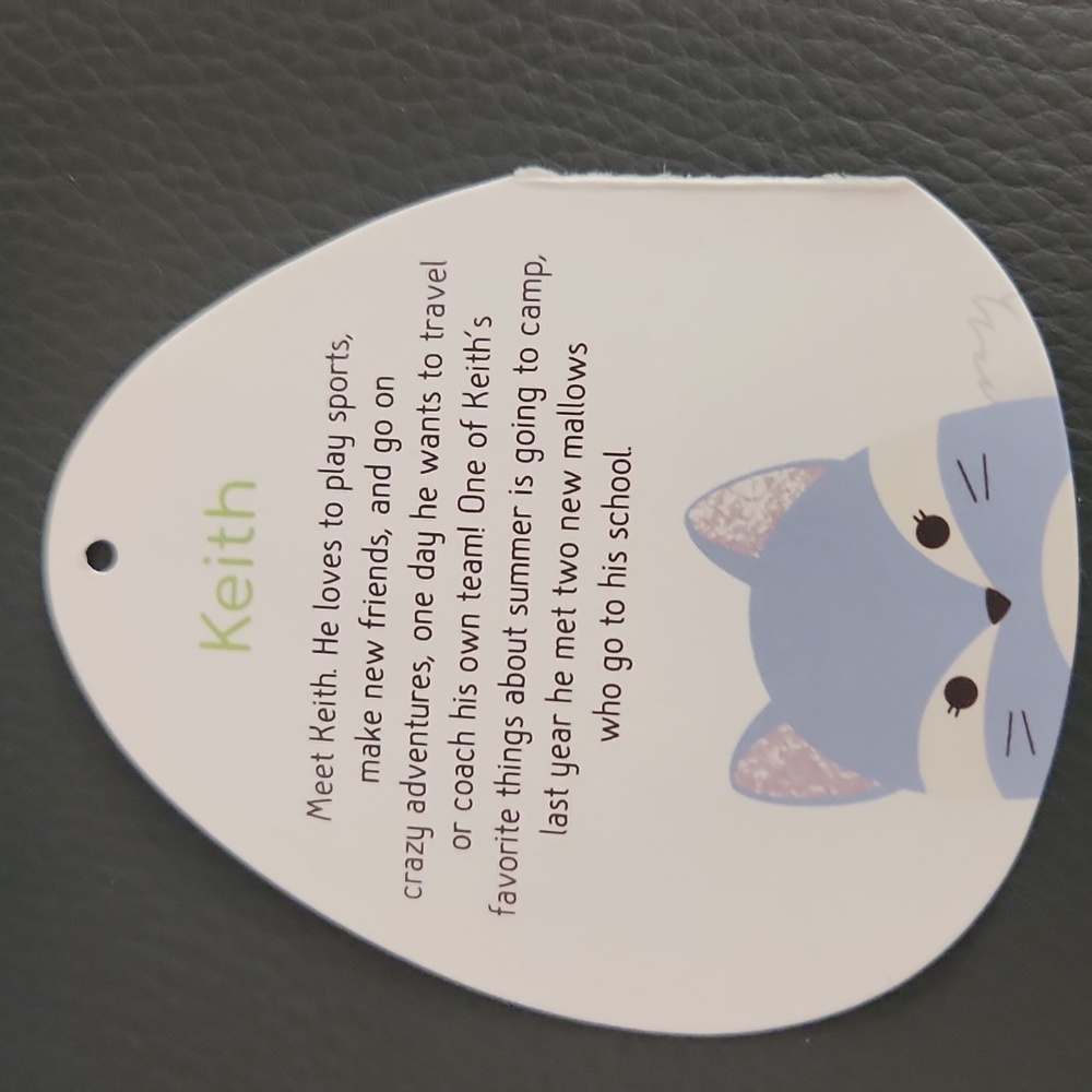Squishmallow Keith the Fox - Picture 3 of 3